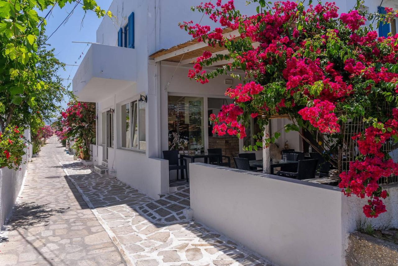 Antiparos View Apartment Екстериор снимка